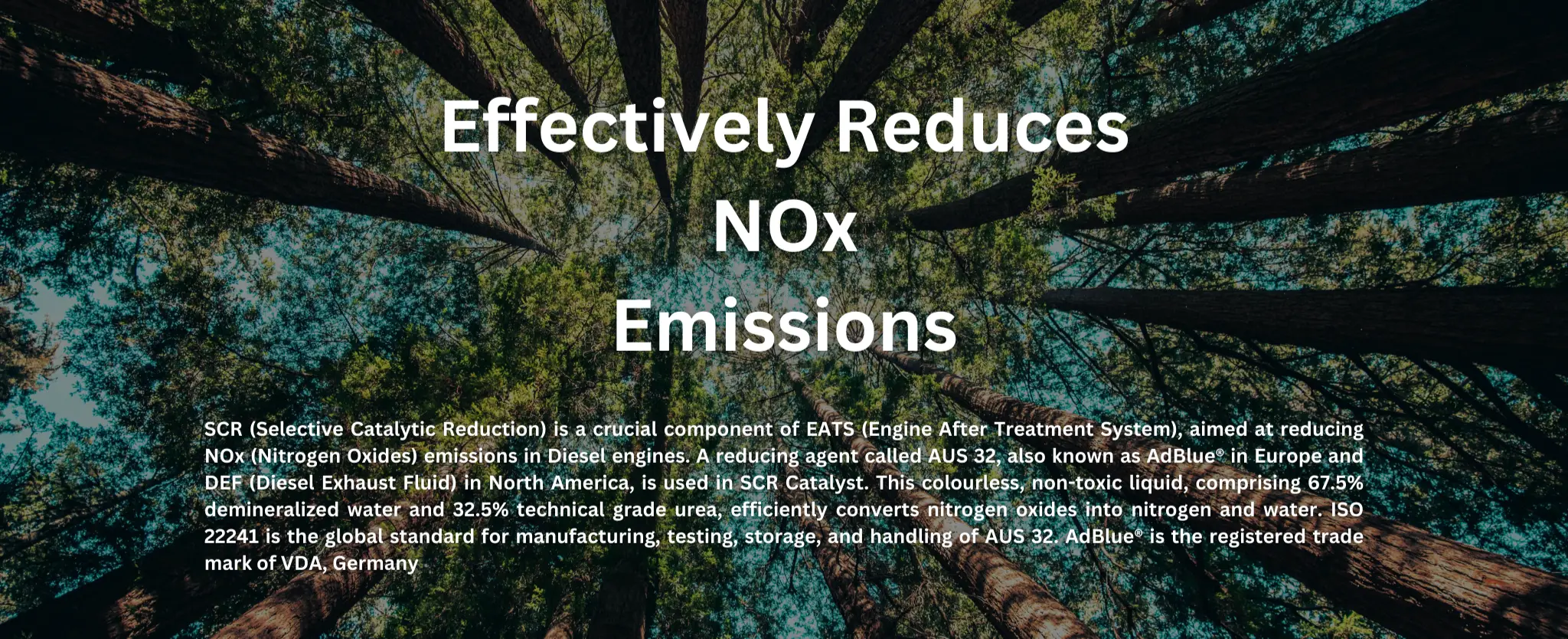 Banner-desktop-1_130555224-1-2048x834-2